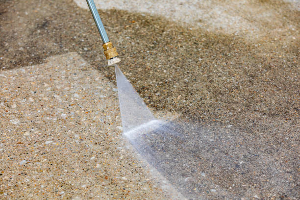 Best Gutter Cleaning  in Waldo, FL